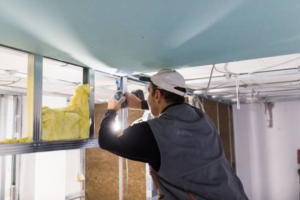 Best Types of Insulation in Godley, TX
