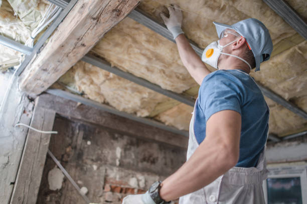 Best Types of Insulation in Godley, TX